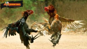 68gamebai-nhung-tinh-nang-noi-bat