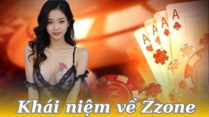 khai-niem-ve-zzone